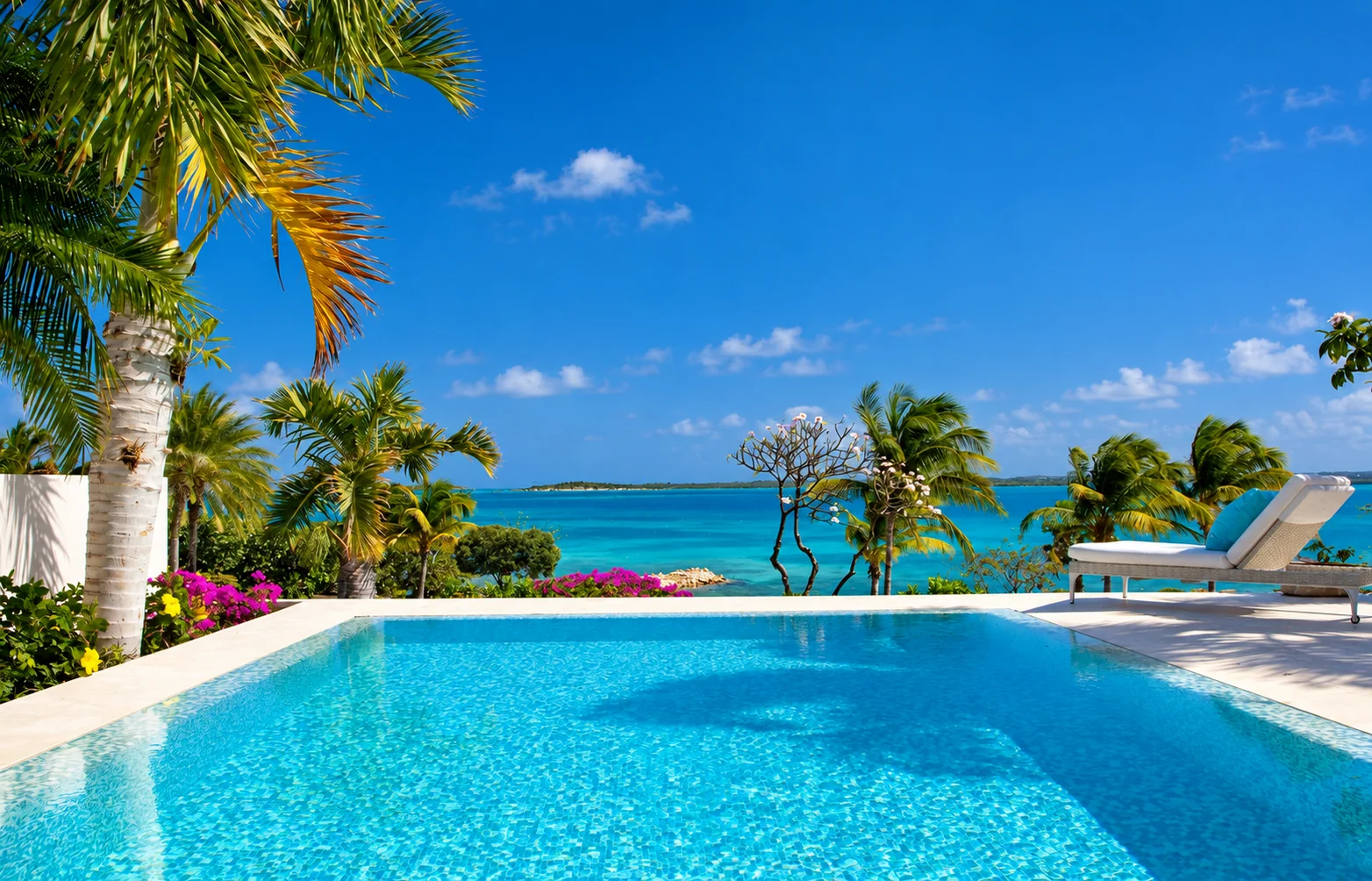 A sunlit villa pool with palm trees and loungers overlooking the turquoise sea in Antigua