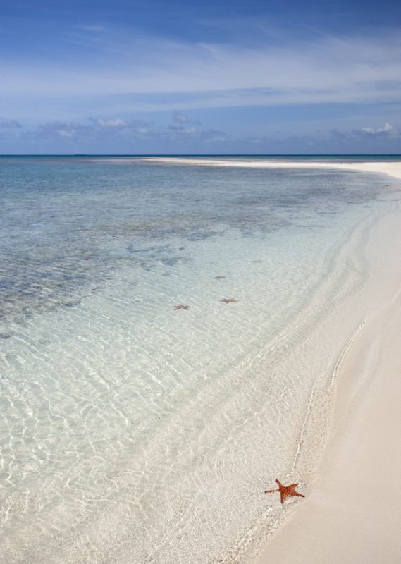 Jumby Bay Villas photo 12