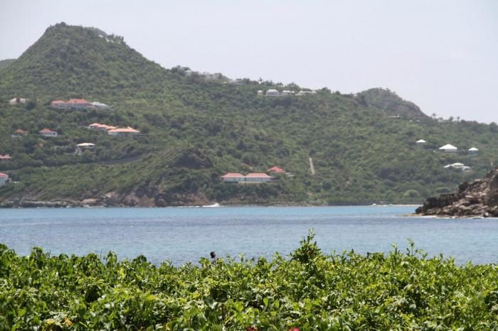 Rosebud Villa photo 16