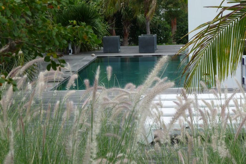 Villa Agave photo 11