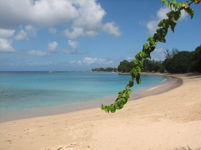Emerald Beach 3 Ixoria photo 3