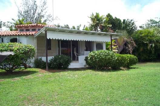 High Constantia photo 6