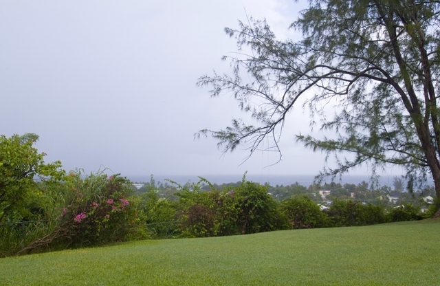 High Constantia photo 7