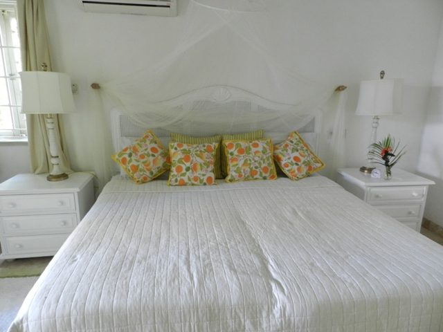 Emerald Beach 5 Aspicia photo 8