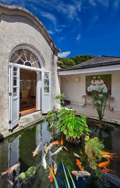 High Cane, Sandy Lane photo 18