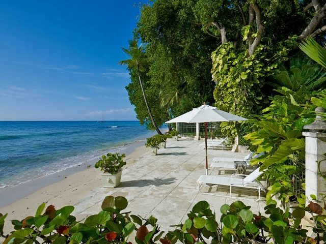 Mango Bay photo 5
