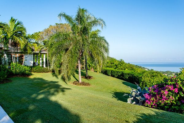 Bougainvillea at the Tryall Club photo 4