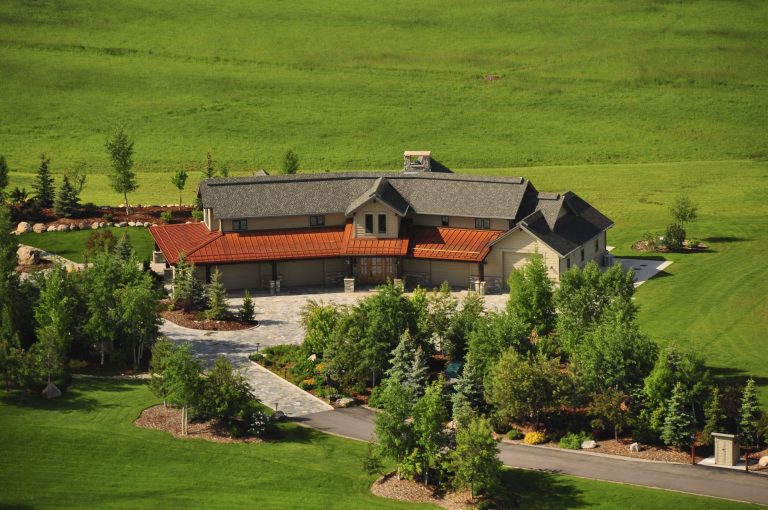 Wildflower Meadows in Steamboat Springs, Colorado