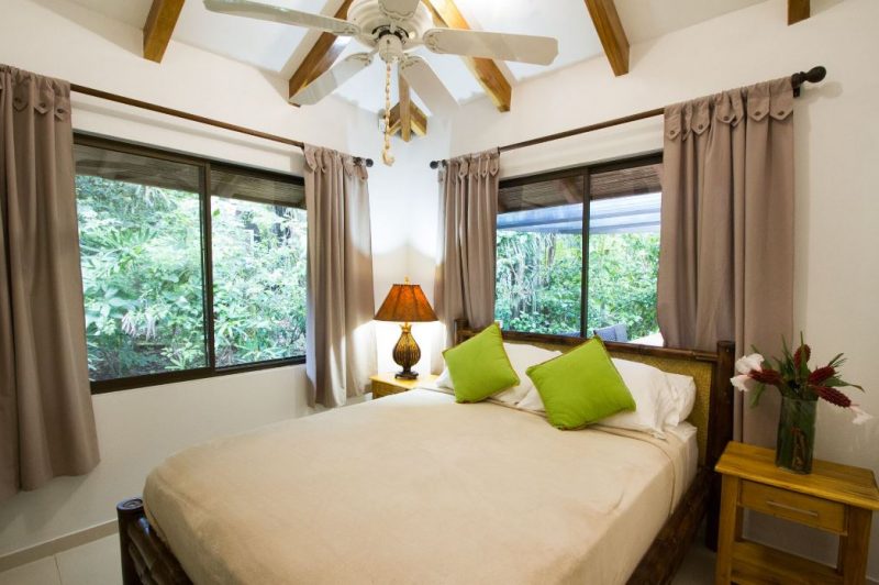 Casa Morpho photo 8