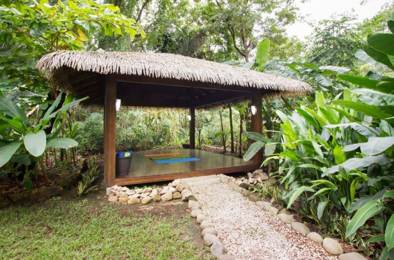 Casa Monarca photo 4