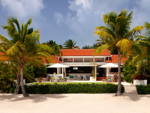 Sea Pigeon at Jumby Bay in Jumby Bay, Antigua