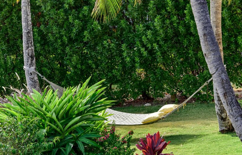 Blue Pelican at Jumby Bay photo 8