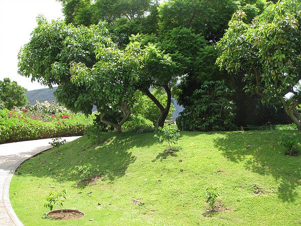 Makena Aloha Estate photo 15
