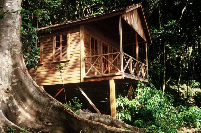 Jungle Bay in Pointe Mulatre