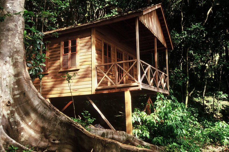 Jungle Bay photo 2