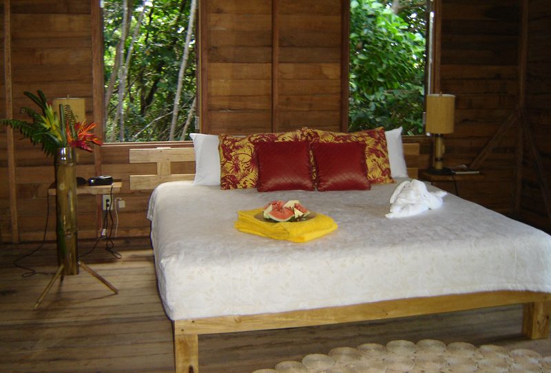 Jungle Bay photo 9