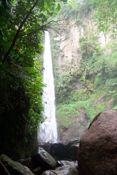 Jungle Bay photo 10