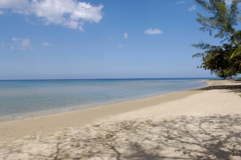 Tranquillity on the Beach photo 4