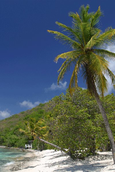 Sea Grape Cottage photo 1