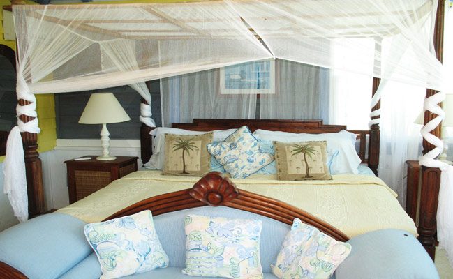 Limeberry House in Tortola