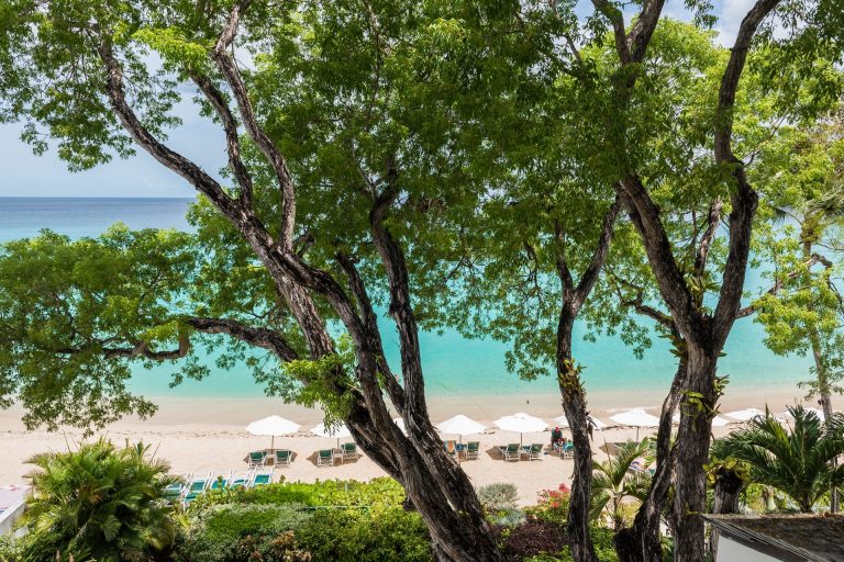 Crowsnest - Coral Cove 14 in Paynes Bay, Barbados