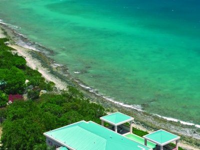 Sea Star in Cabrita Point, St. Thomas