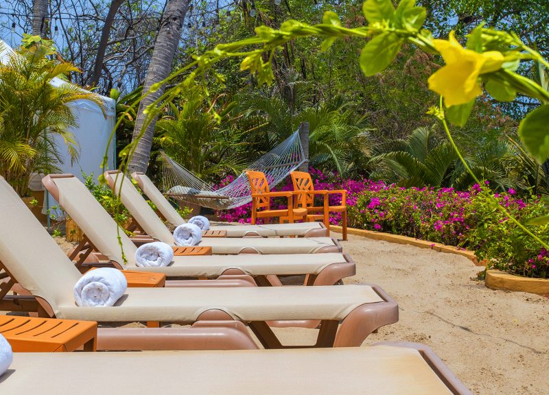 The Beach House Puerto Vallarta photo 12