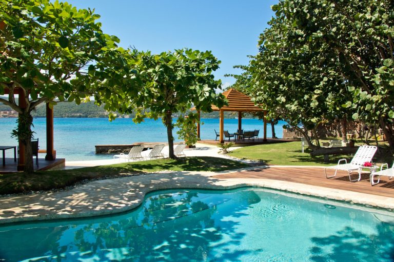Sea Grapes on the Beach in Discovery Bay, Jamaica
