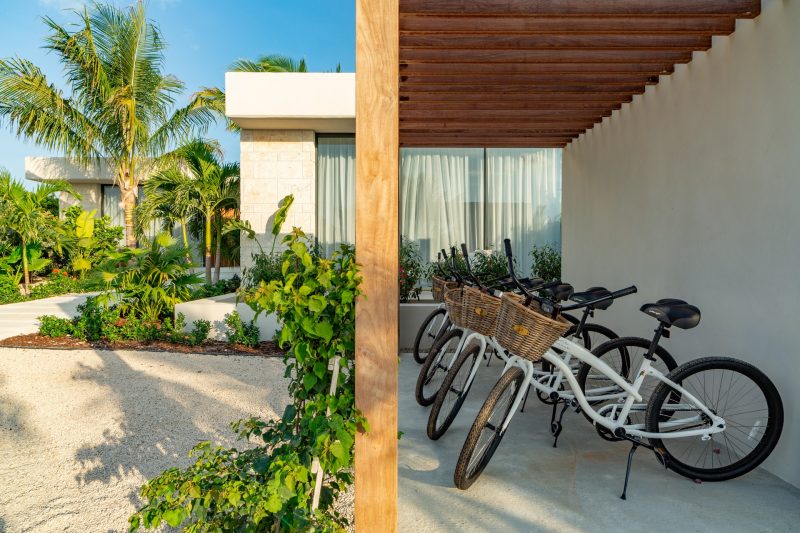 Dune House photo 45