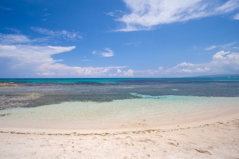 Seven Seas on the Beach photo 17