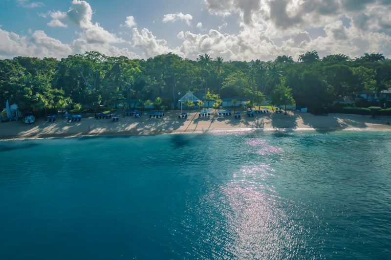 Halle Rose photo 2