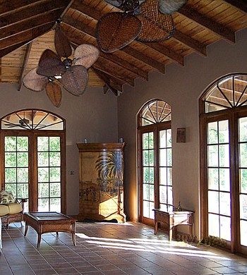 Villa South Palm photo 8