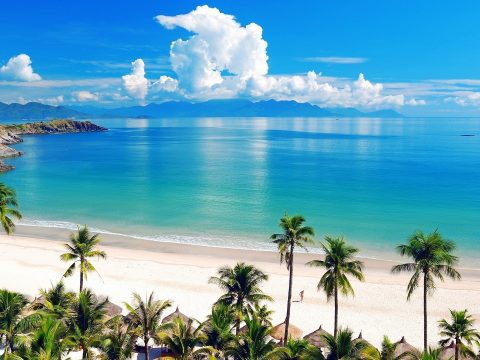 Jamaican Me Crazy!
