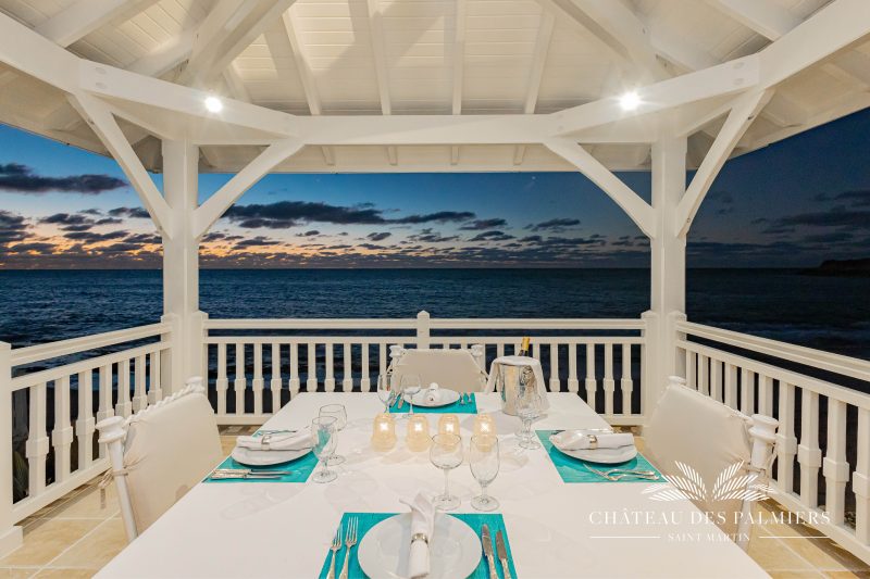 Chateau des Palmiers photo 10