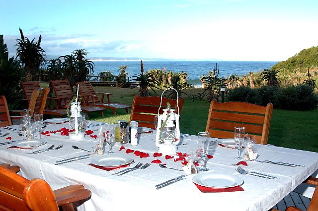 Dolphin House photo 6