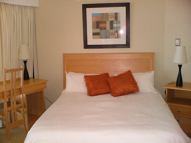 Dolphin House photo 13