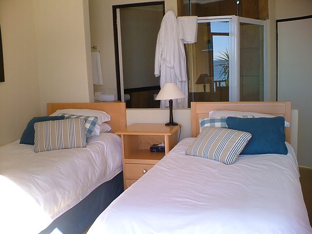 Dolphin House photo 14